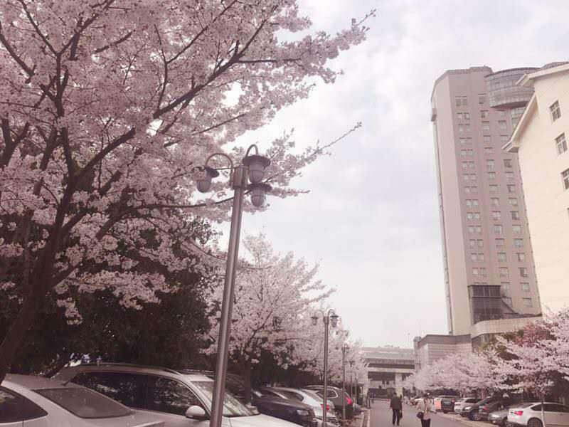 Xiongchu International Hotel Wuhan Zewnętrze zdjęcie
